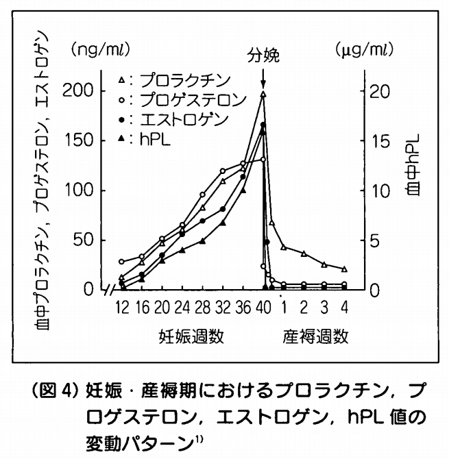 果たして夫は突然 パパ になるのか 着太郎の育児エビデンス Note