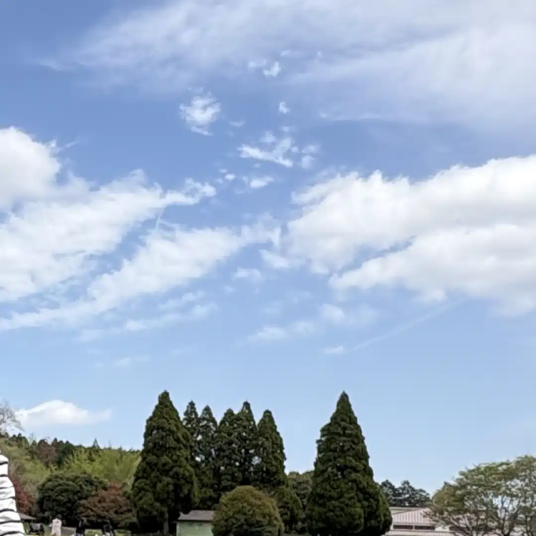 スキマビジネス研究所