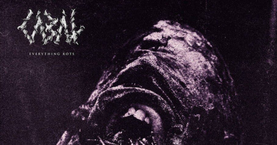 デンマーク産デスコア[CABAL]の4th[Everything rots](2025)レビュー