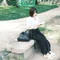 夏凪みち