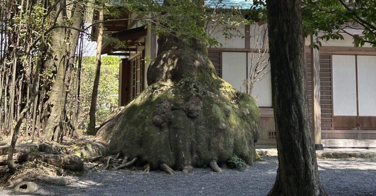 柳瀬美術店 / 伊勢崎 淳「備前引出黒酒呑-2」共箱[ISEZAKI Jun