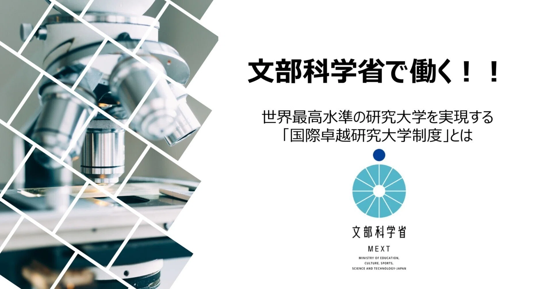 文部科学省で働く！！～世界最高水準の研究大学を実現する「国際卓越