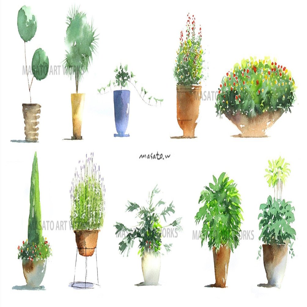 水彩スケッチの点景用に描いてみた・・寄せ植え、プランター、鉢植えの