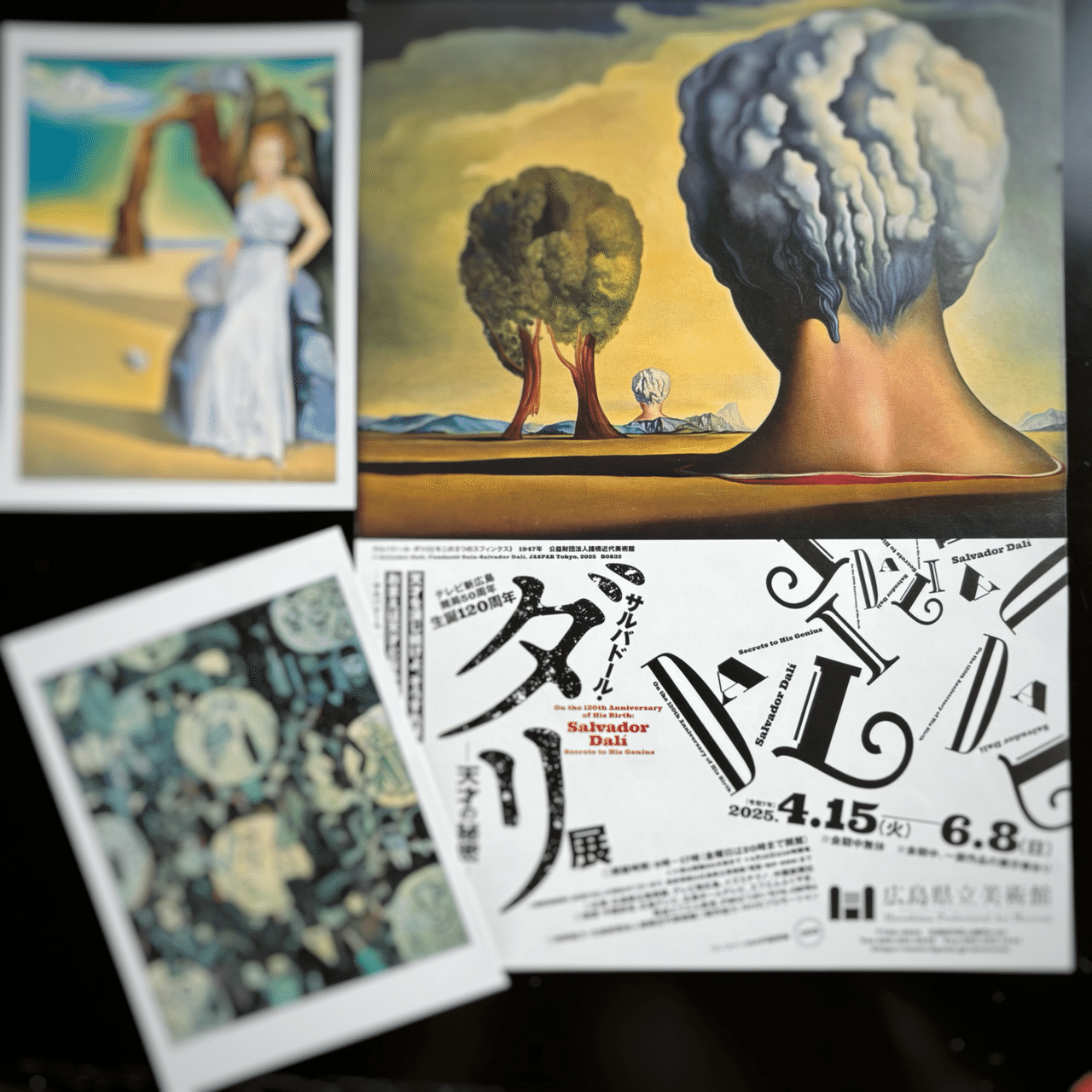 【貴重な洋書】サルヴァドール・ダリ 『奇蹟のダリ宝石展』の展覧会図録 貴重な洋書】サルヴァドール・ダリ 『奇蹟のダリ宝石展』の展覧会図録