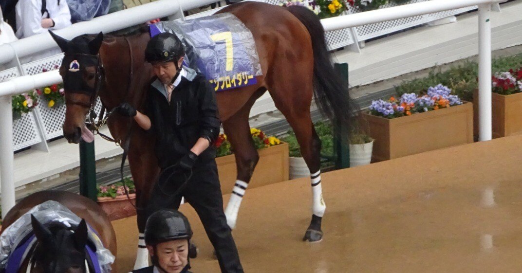 AVANTI Sサイズ 第53回桜花賞 ベガ AVANTI Sサイズ 第53回桜花賞 ベガ