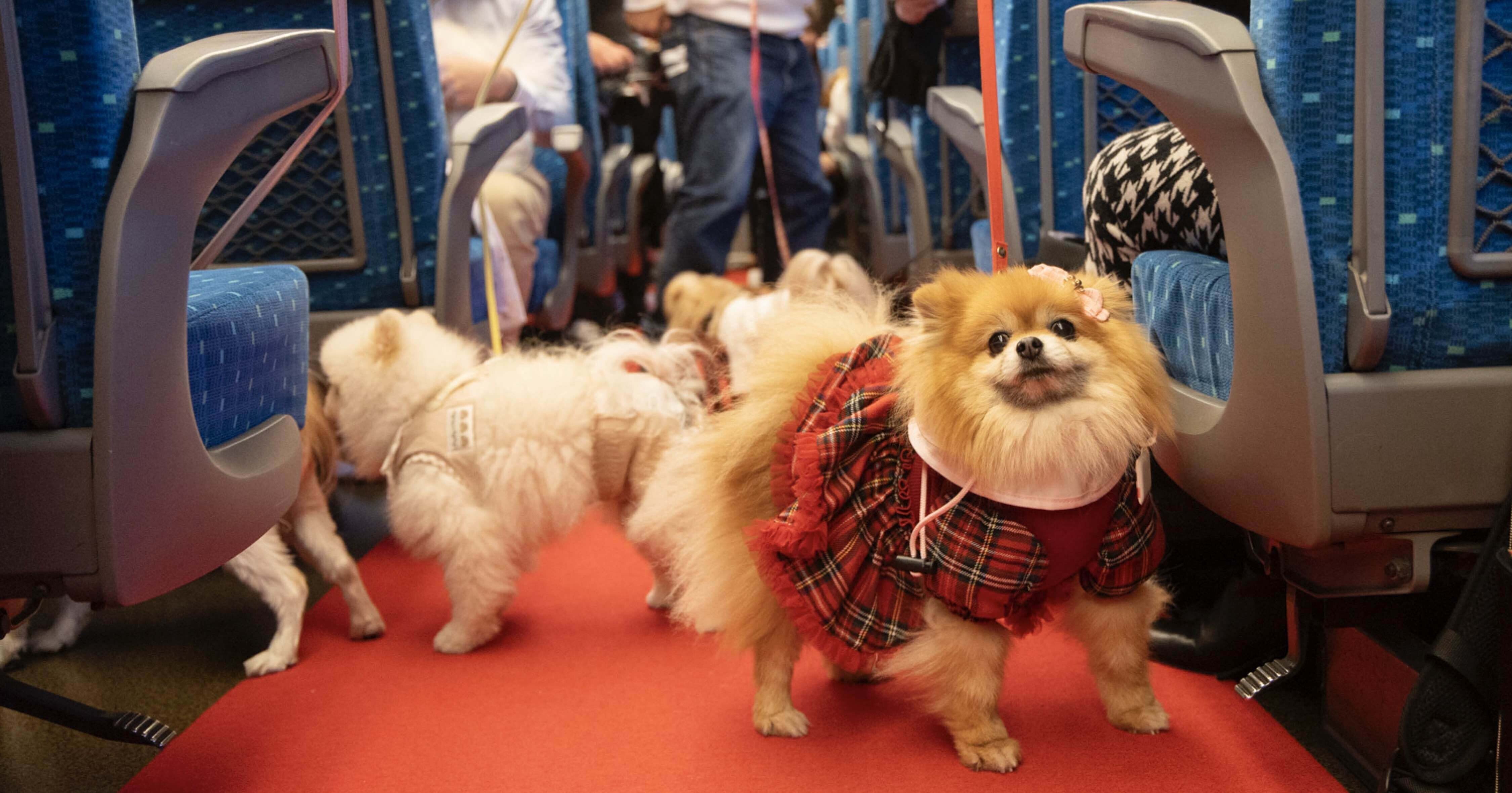 52de248cedc68b40c95b7a40985c7a