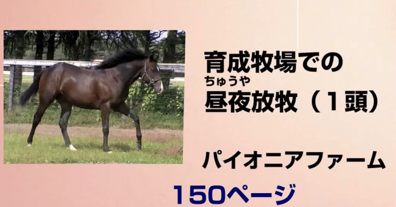 【動画】　１歳馬の放牧（１頭）
