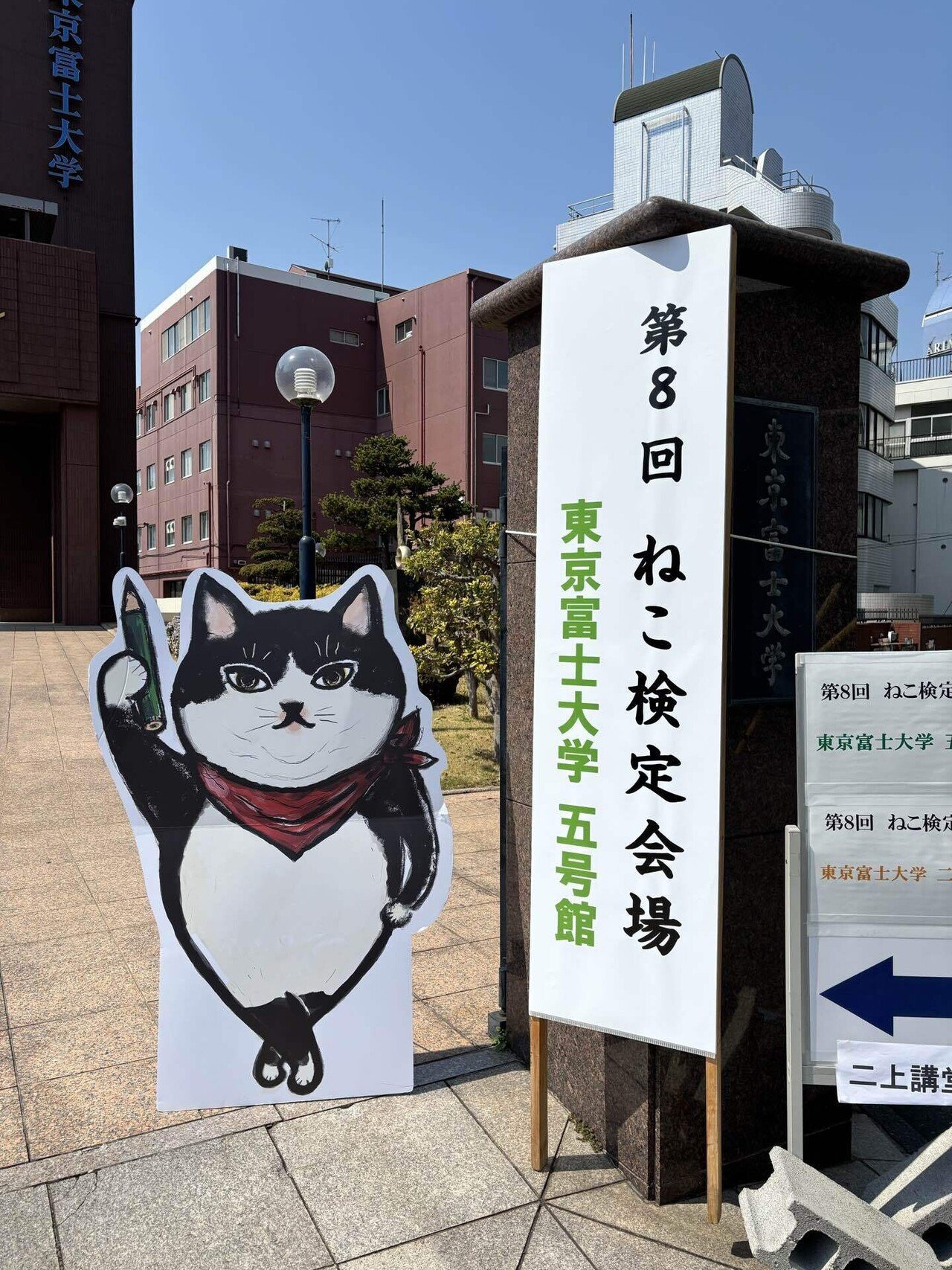 ねこ検定 レポート【中級】｜Komine Hana