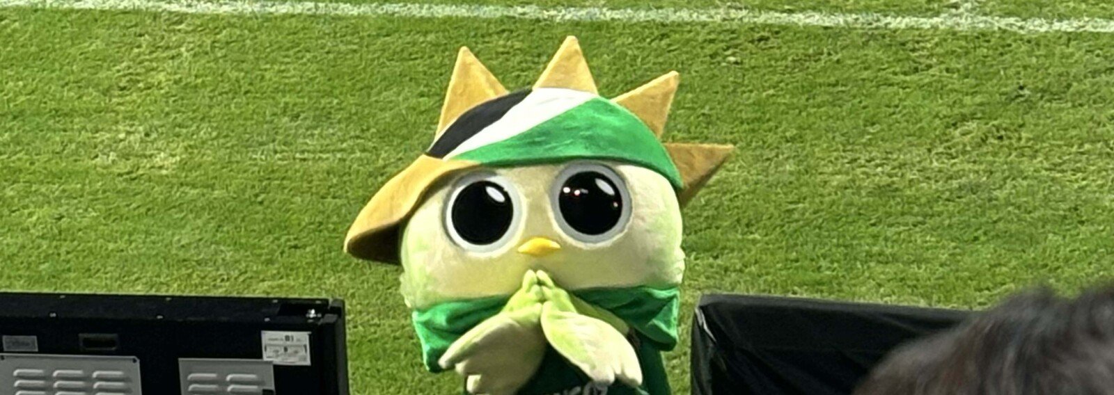 まーこ（みどりまめ）｜note