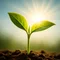 心の在り方クリエイター（未来の人）