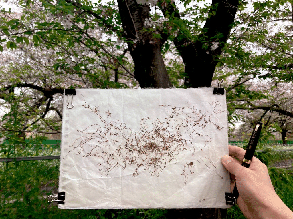 原画　『春霞　桜薫』 原画 『春霞 桜薫』