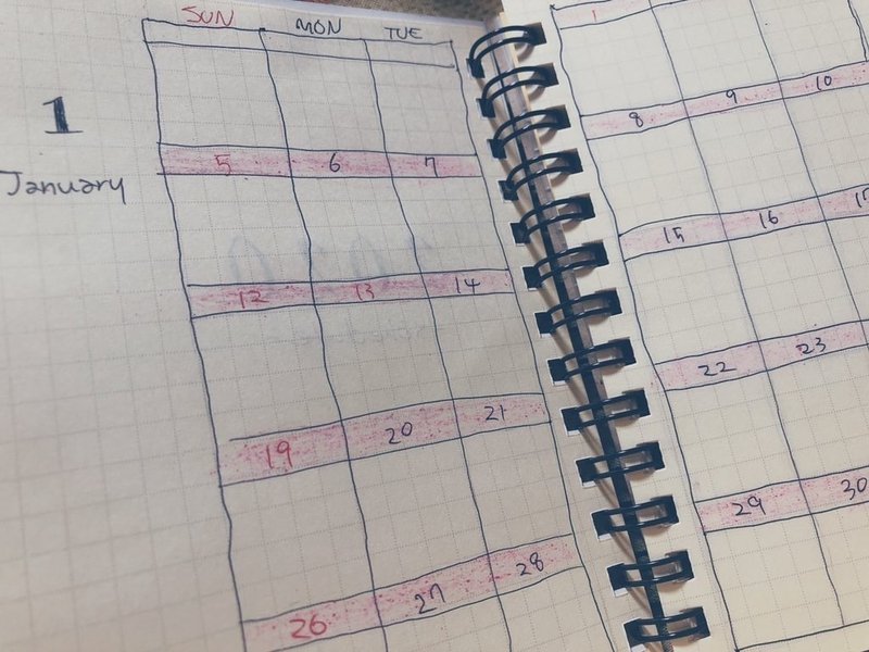 スケジュール帳diy ひよこ Note