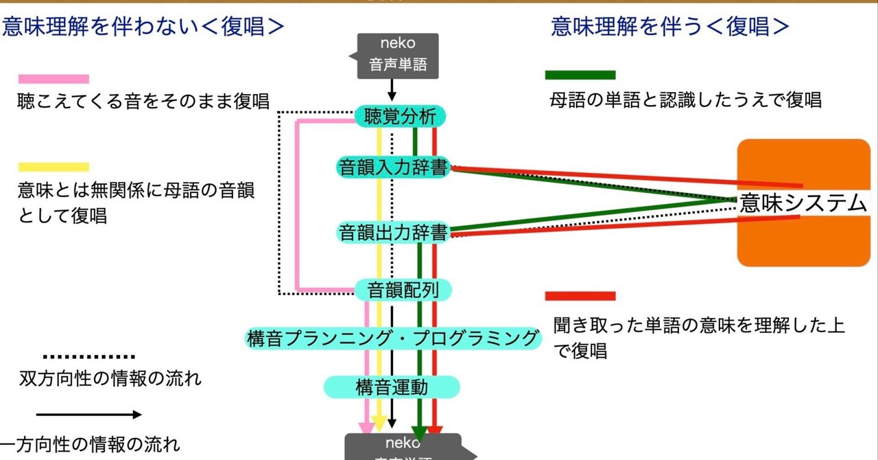 言語と認知のメカニズム 🧠 第4回 明日から実践できるロゴジェンモデル《復唱編》｜言語