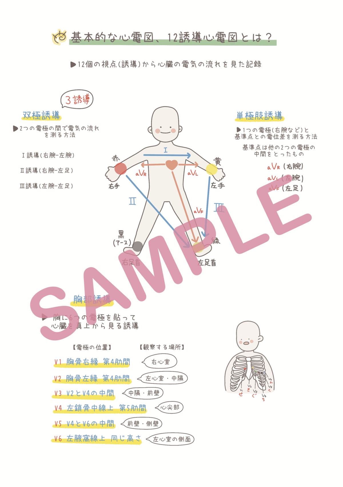 メロンパン♡ページ　心臓　血液　まとめノート　解剖生理学 解剖生理学 心臓 まとめノート 看護師国家試験 - メルカリ
