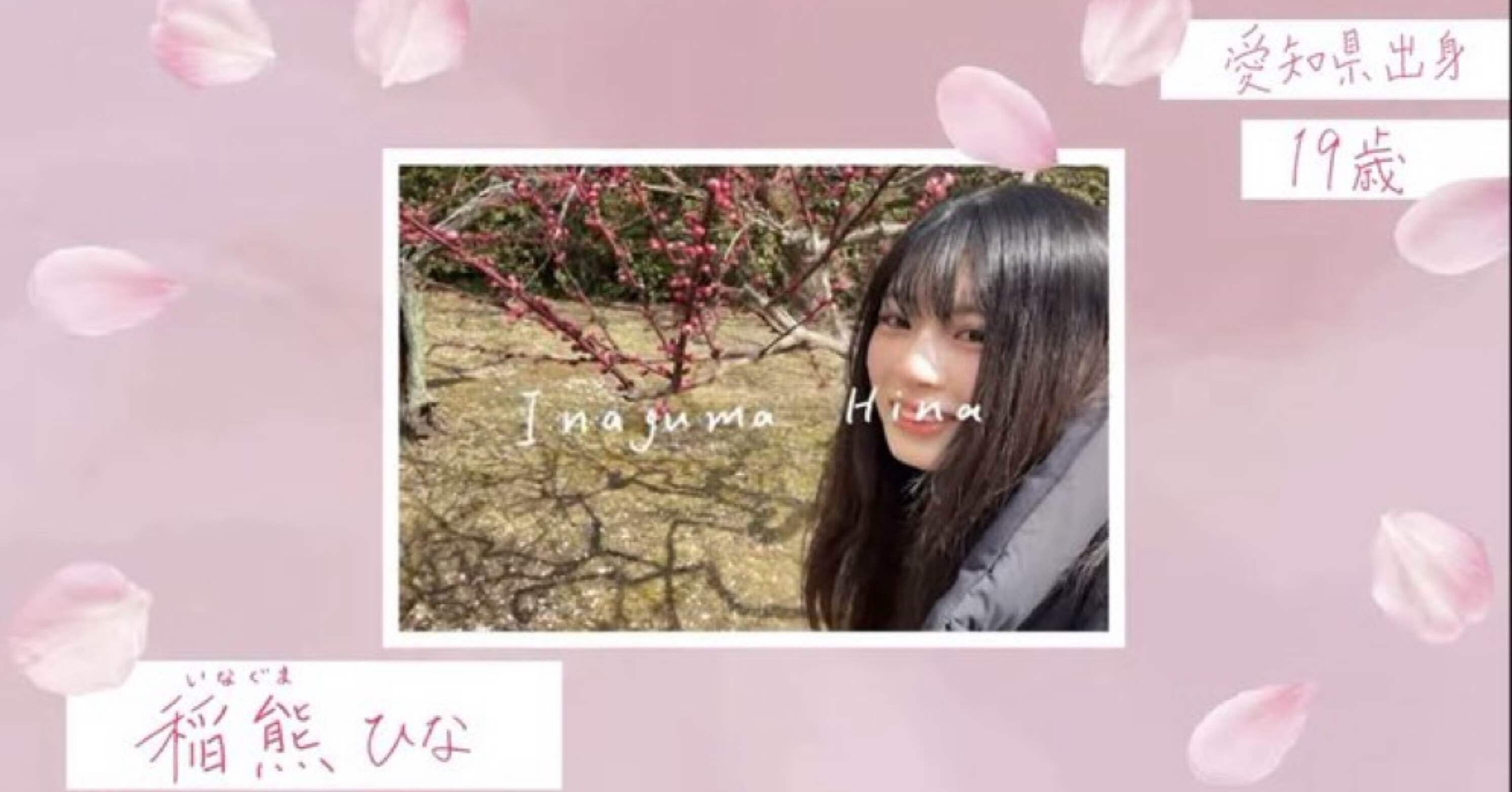 5b14a80a5012ed3c8c4eff3a27373e