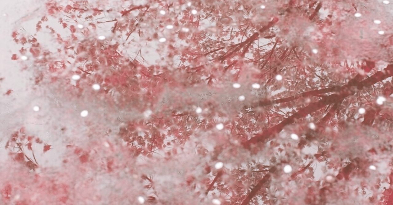 新古今（110）春雨は いたくな降りそ 桜花｜舞夢