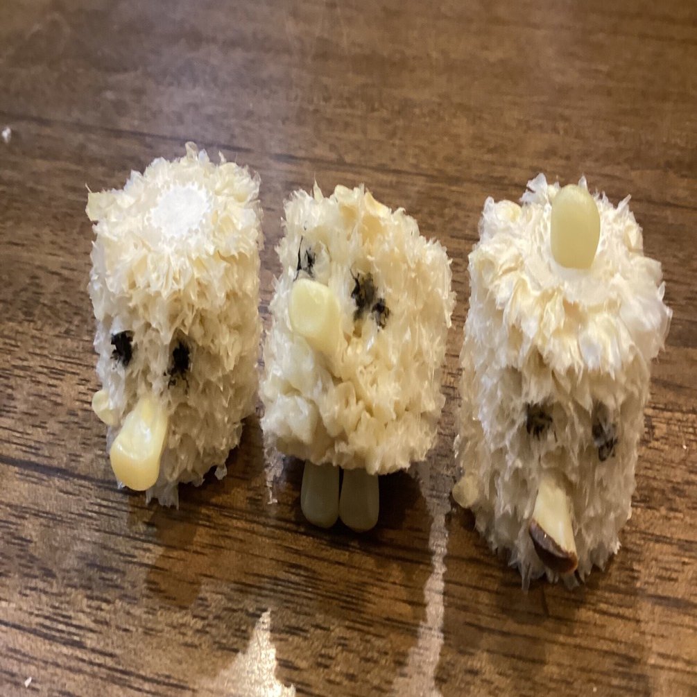 ヴィーガンは否定的に見られやすい｜モモモンガ