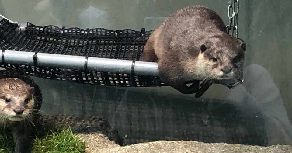 最近みつけたお気に入りの言葉 Me Note