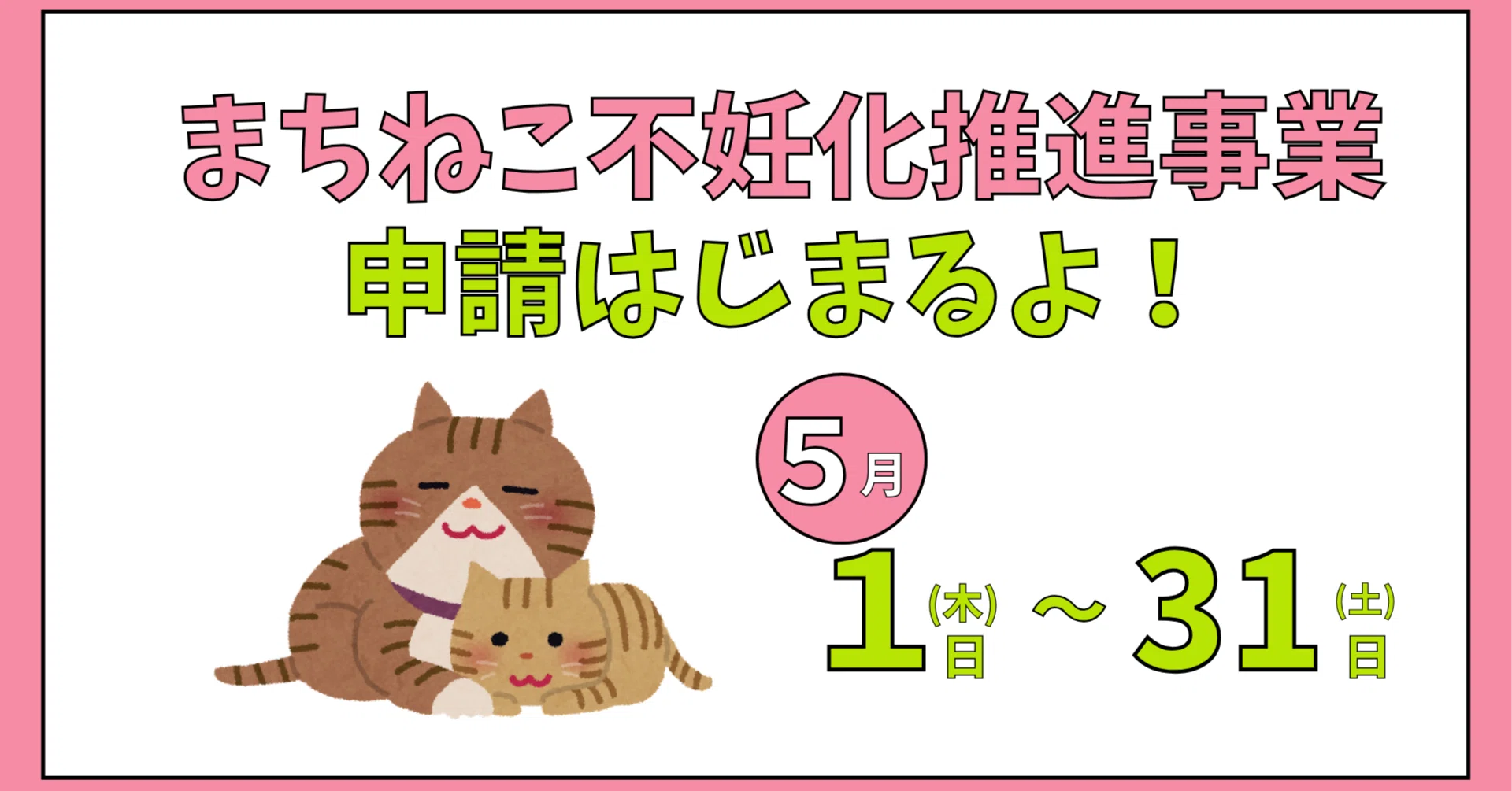 長崎市】まちねこ不妊化推進事業、申請が5月から開始！｜あべのぞみ