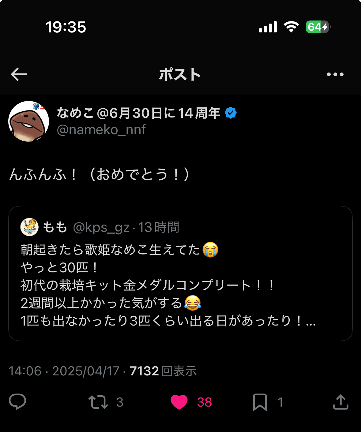 元祖なめこ栽培キット 初代の栽培キット四 金メダルコンプリート 元祖なめこ栽培キット 初代の栽培キット四 金メダルコンプリート