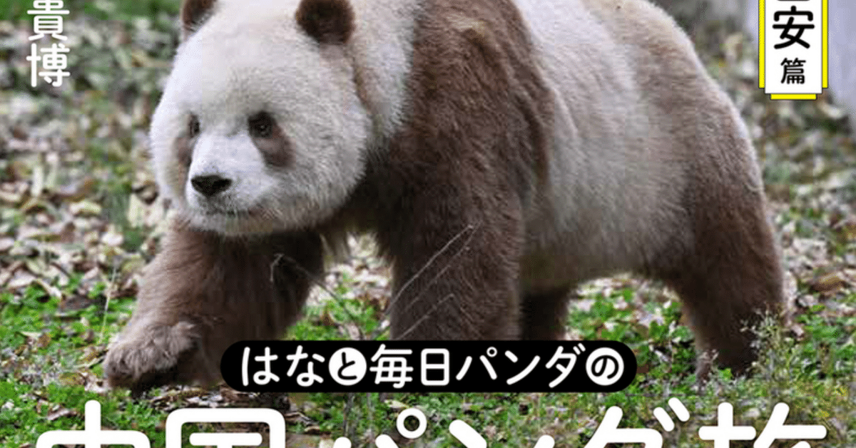 4月28日に『はなと毎日パンダの 中国パンダ旅～雅安・西安篇