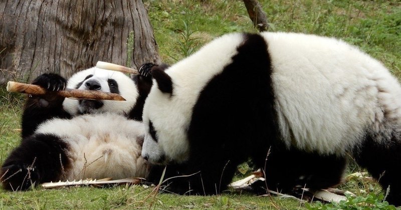 シロクロつけない グレーなものをグレーなまま受けとめられるようになって人は大人になっていく 増田 恭之 お金と仕事の総合相談員 note