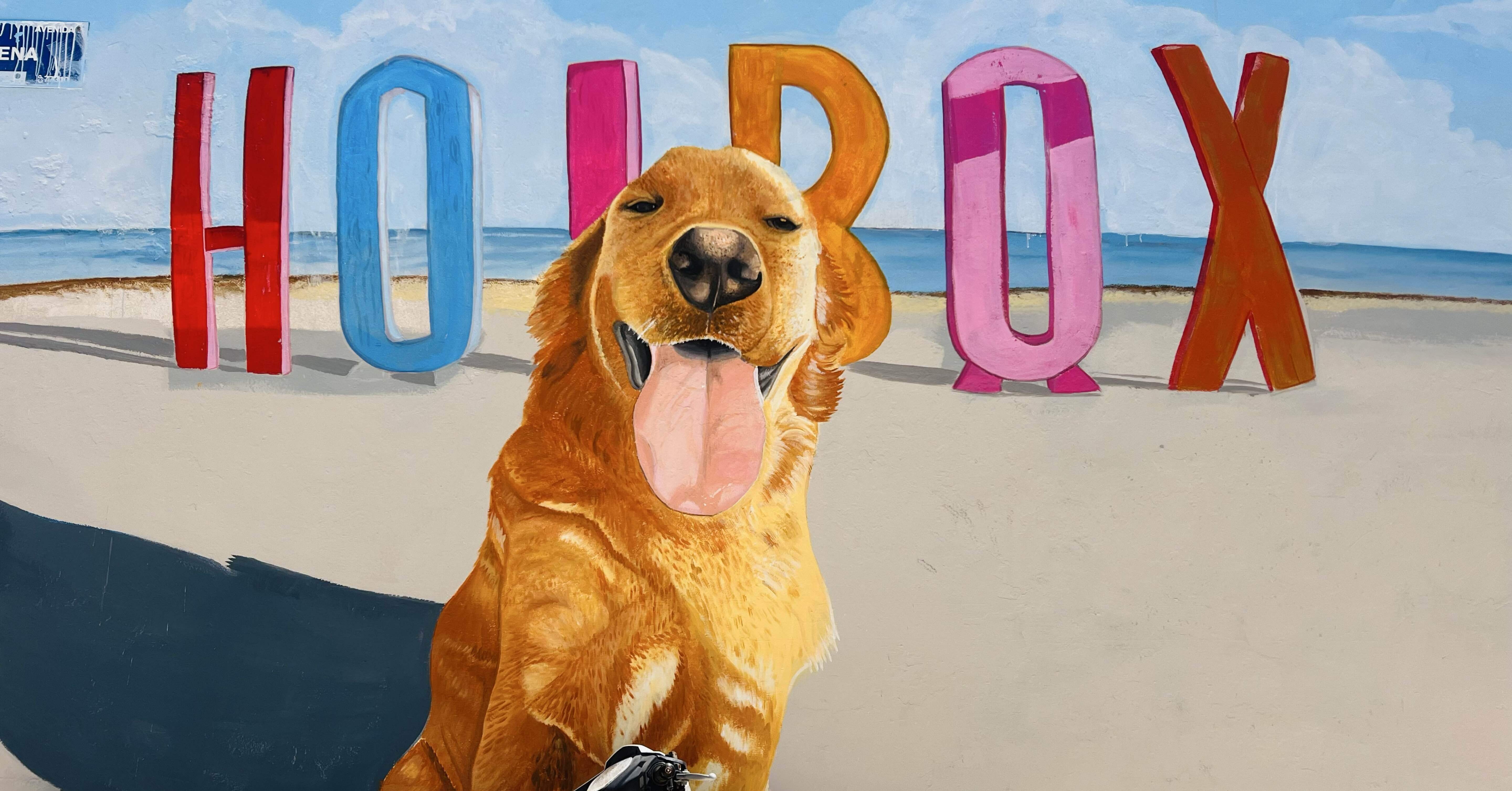 メキシコ民族スウェードボア メキシコ🇲🇽オルボクス｜夫婦journey