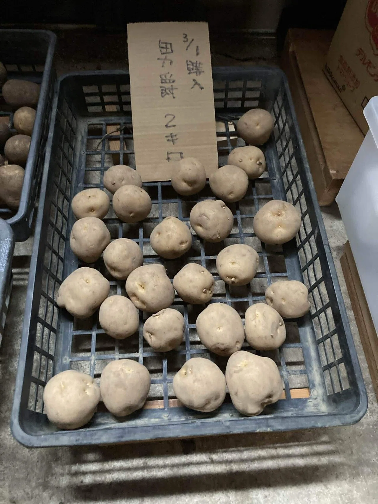じゃがいもの植え付け～新規就農への記録その69」｜はたけのいす