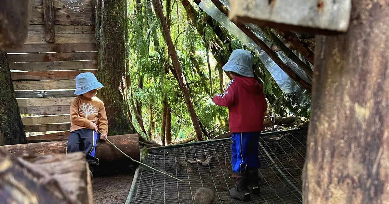 森の中に「秘密基地」を発見！！子ども時代をもう一度｜まどぅ