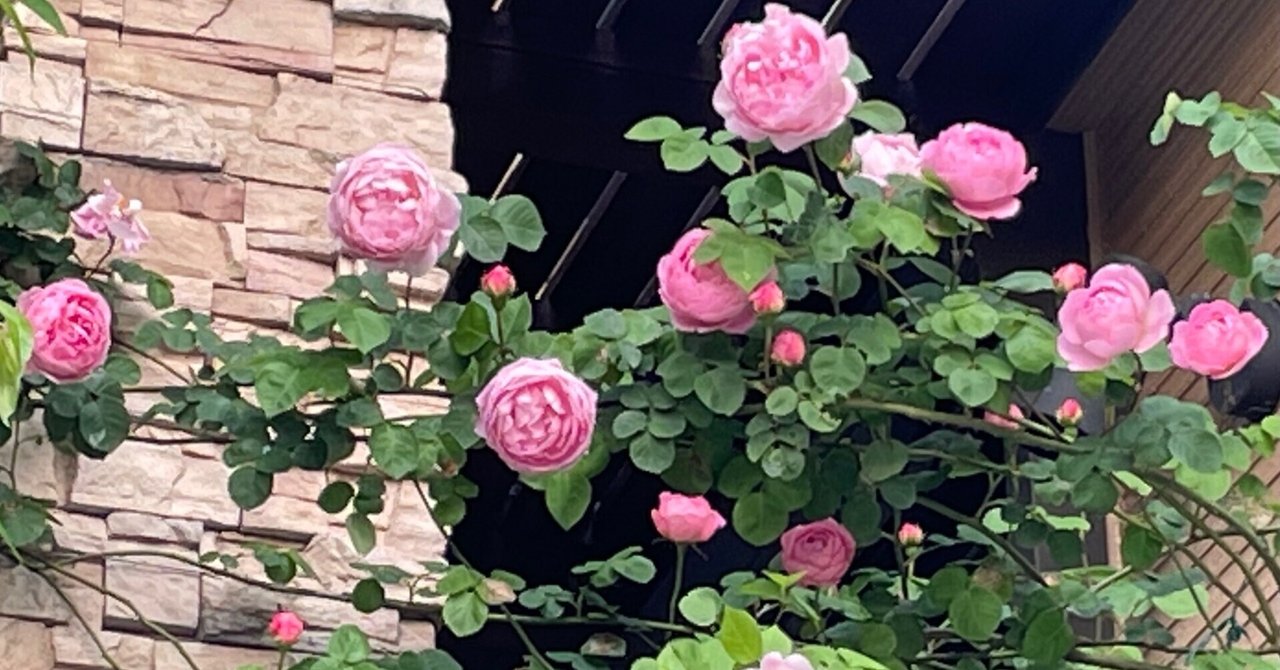 自己紹介：みつばちのいる暮らし🐝 はじめてのnote｜bee.friendly