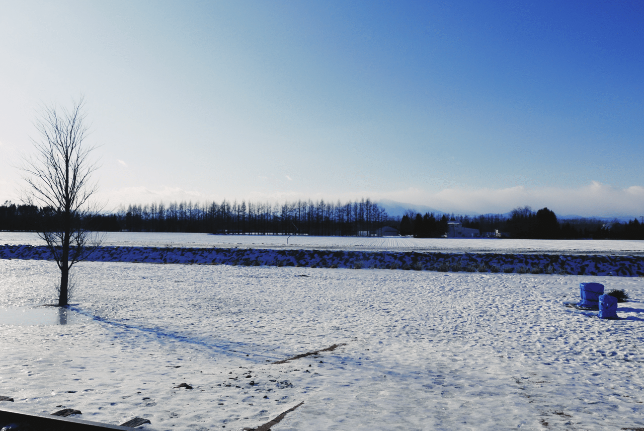 冬という言葉を使わずに冬を表現 なつのあや Note