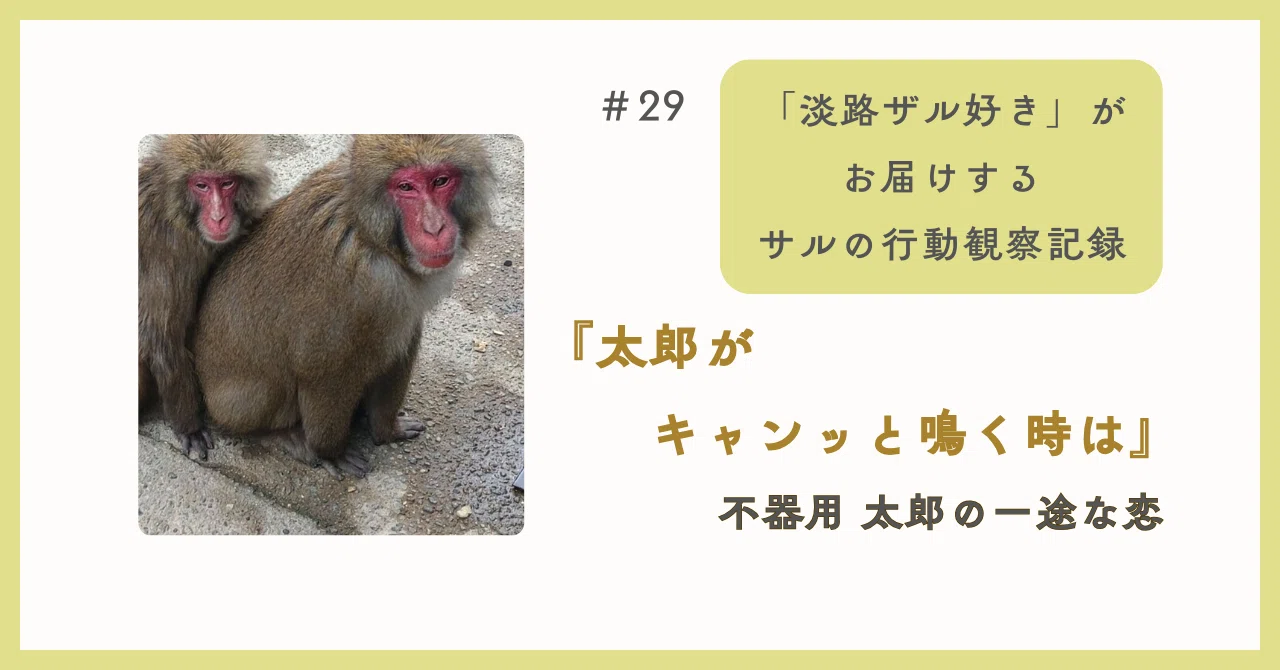 29 『太郎が キャンッ と鳴く時は』 不器用 太郎の一途な恋｜sora.11