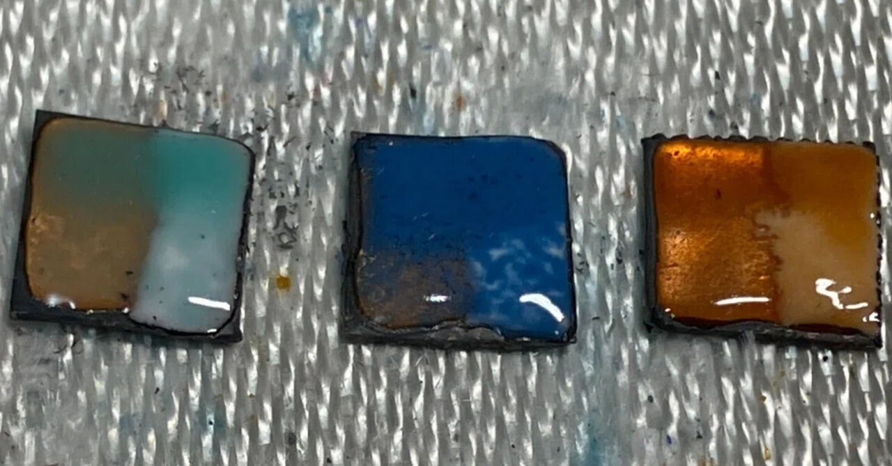 19 Cloisonne Production 6 2025/04/15 (Color Samples Continued 3)｜老蓮蕾