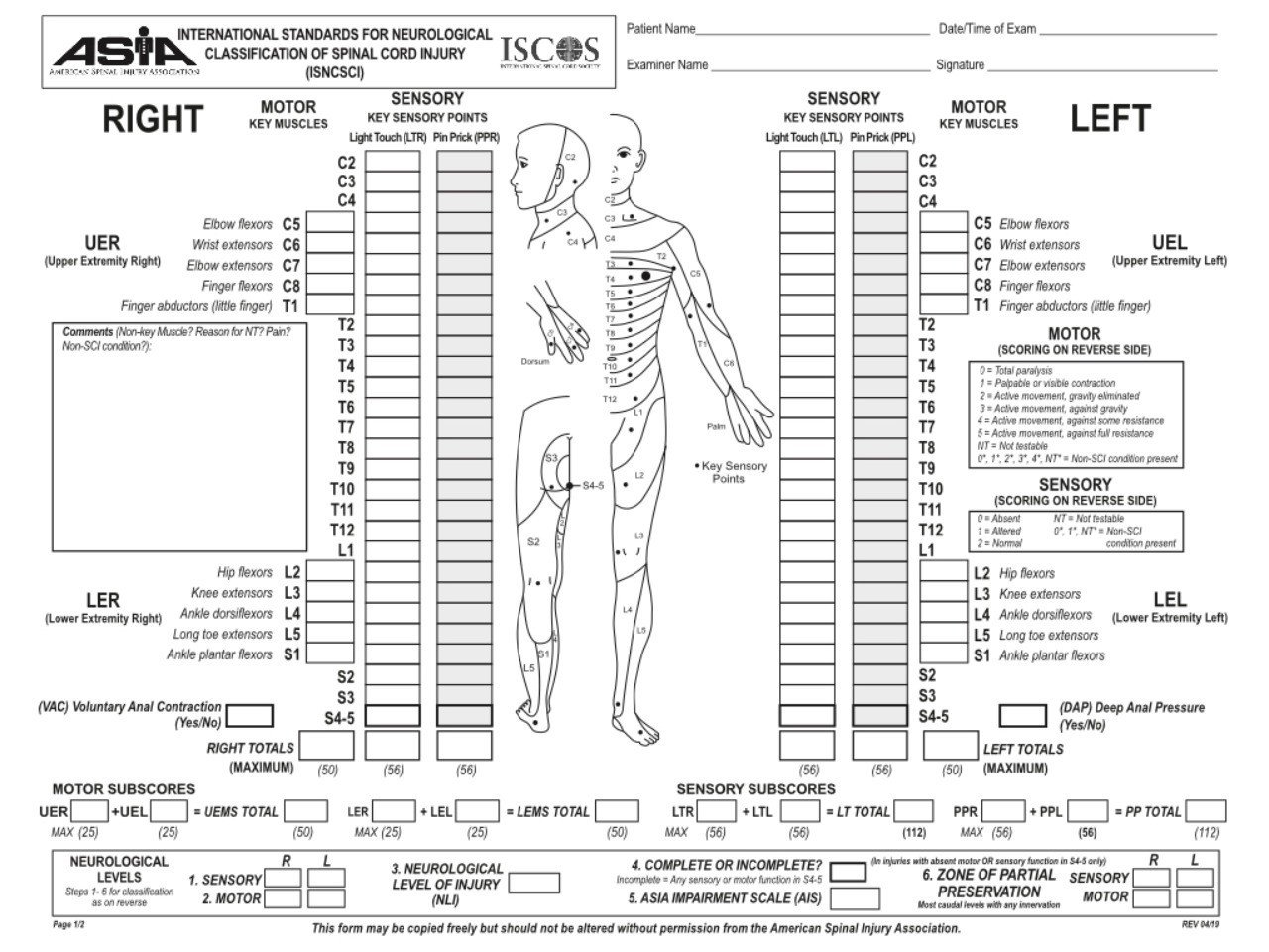 裁断済み 脊椎脊髄損傷アドバンス = Advances in Spine and 書籍『脊椎