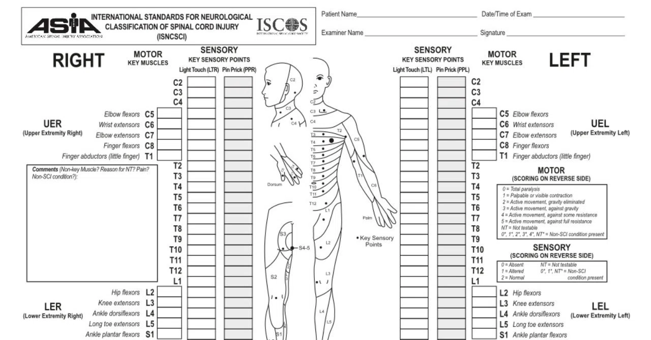 Isncsciを評価する意義 そうちゃん 脊髄損傷の情報発信 Note
