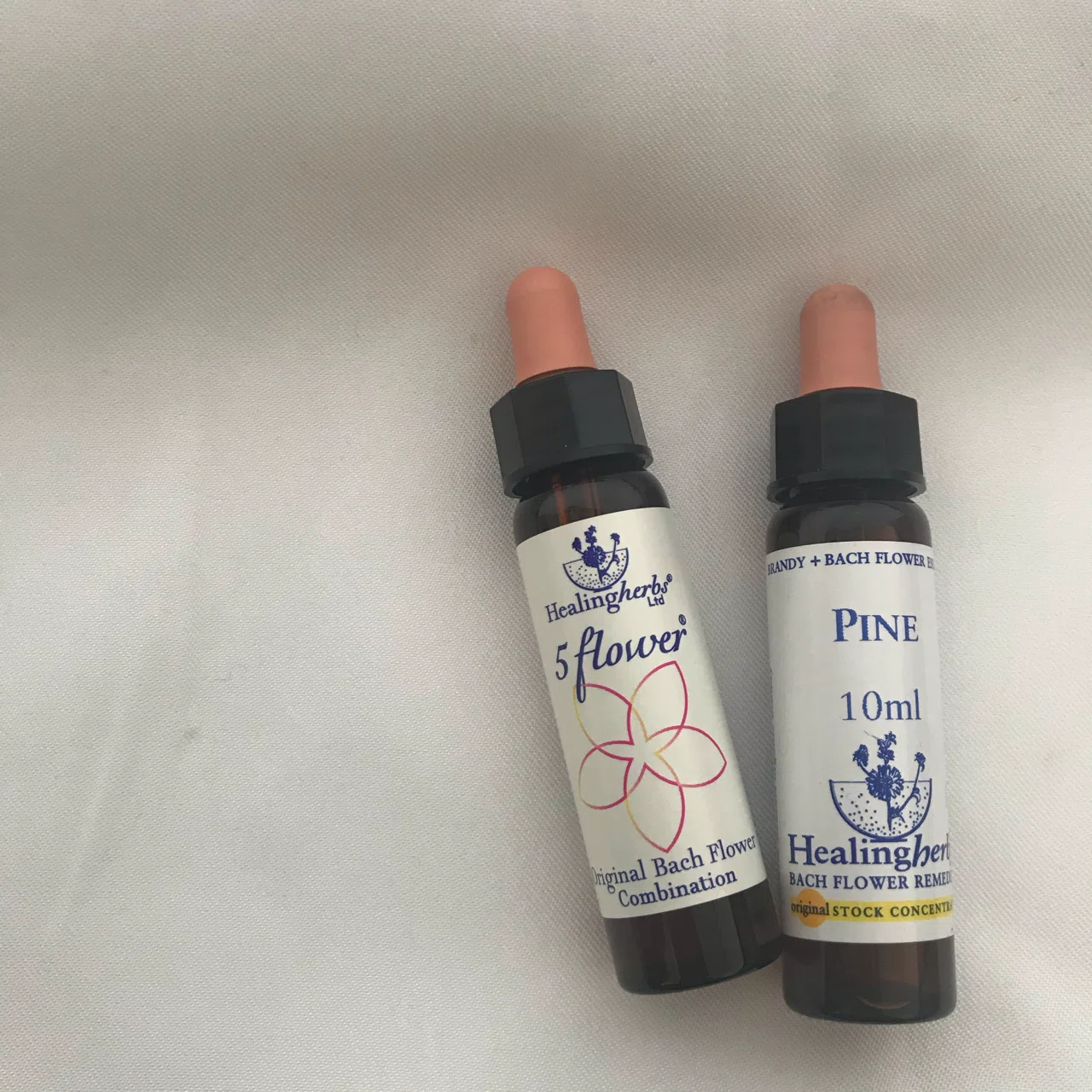 フラワーエッセンスの始め方｜koikeの菜園日記