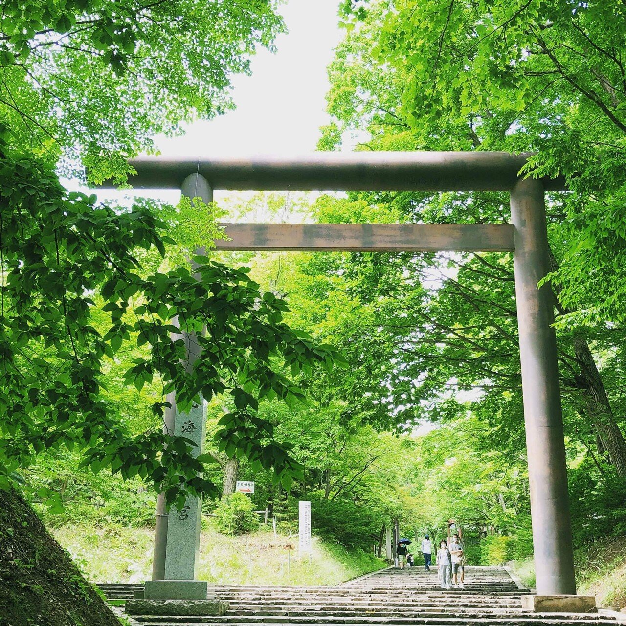 2024-10 伊勢の旅➀遠き日の約束と伊勢参りの途中で出雲に出会う 2024-10 伊勢の旅➀遠き日の約束と伊勢参りの途中で出雲に出会う