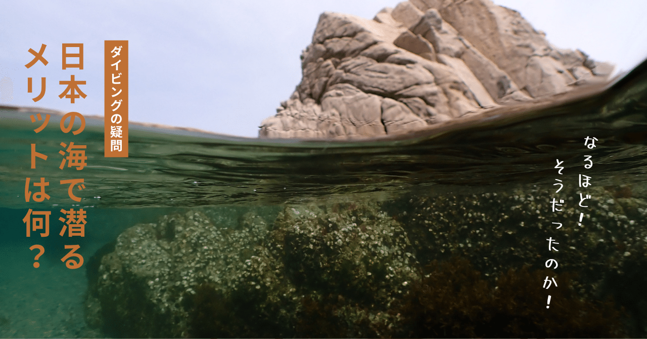 え、日本の海って楽しいの？」あったかいとこじゃなくても大満足な6  