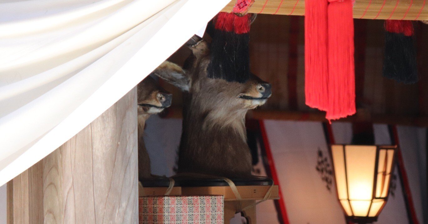 諏訪の神々♯1】 諏訪大社『御頭祭』体験記（2025年）｜令和の風土記