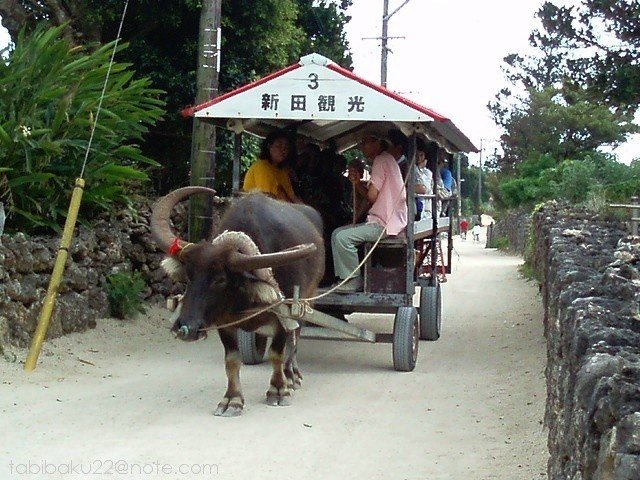 竹富島の水牛車 日本 森野バク 地球旅自炊派 Note