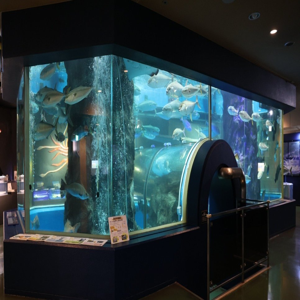 動物園水族館建築物紹介】その4 魚津水族館 富山湾大水槽（日本初の