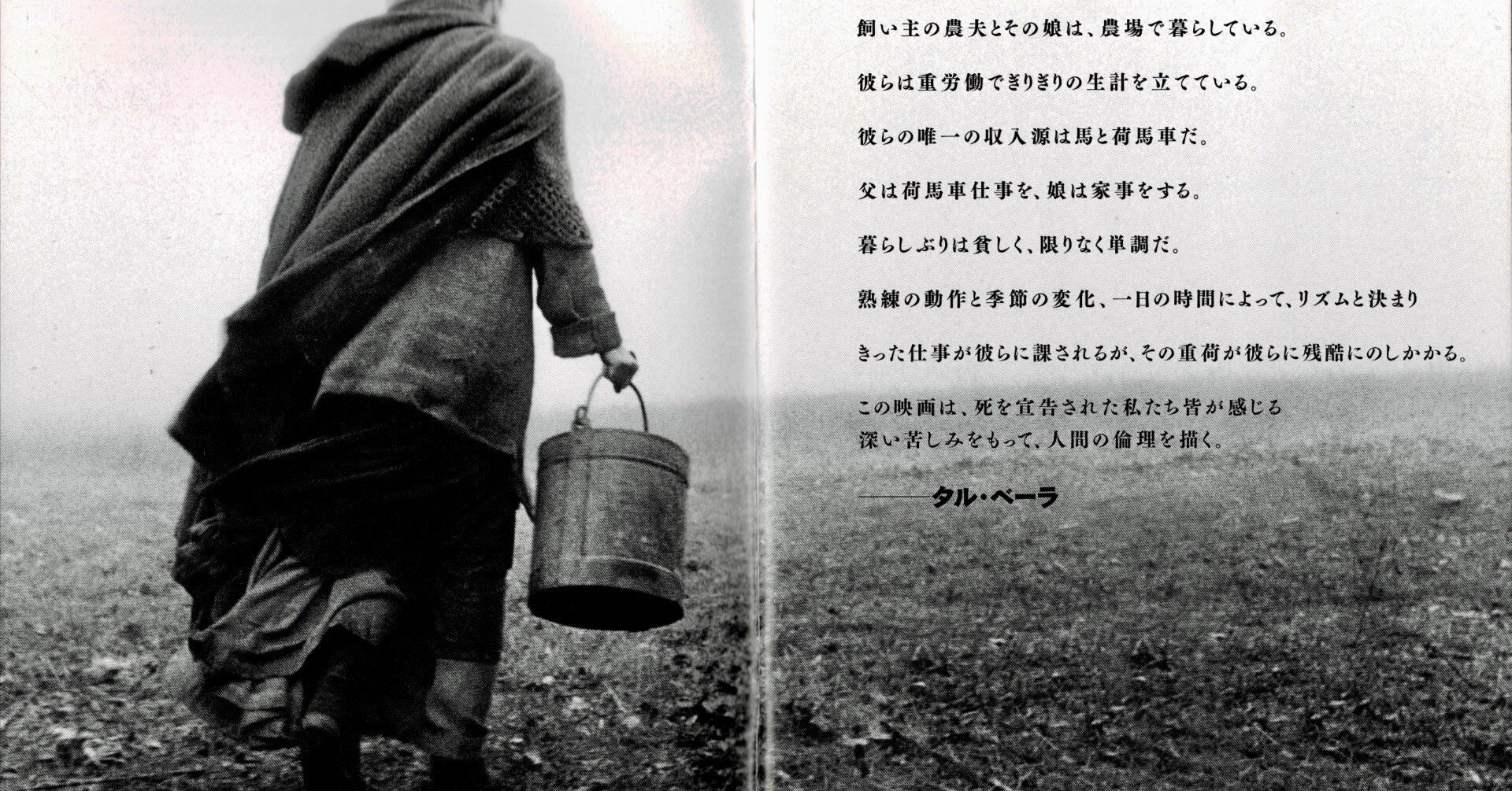 264a551d9d99bd622cc9f91753e6c3