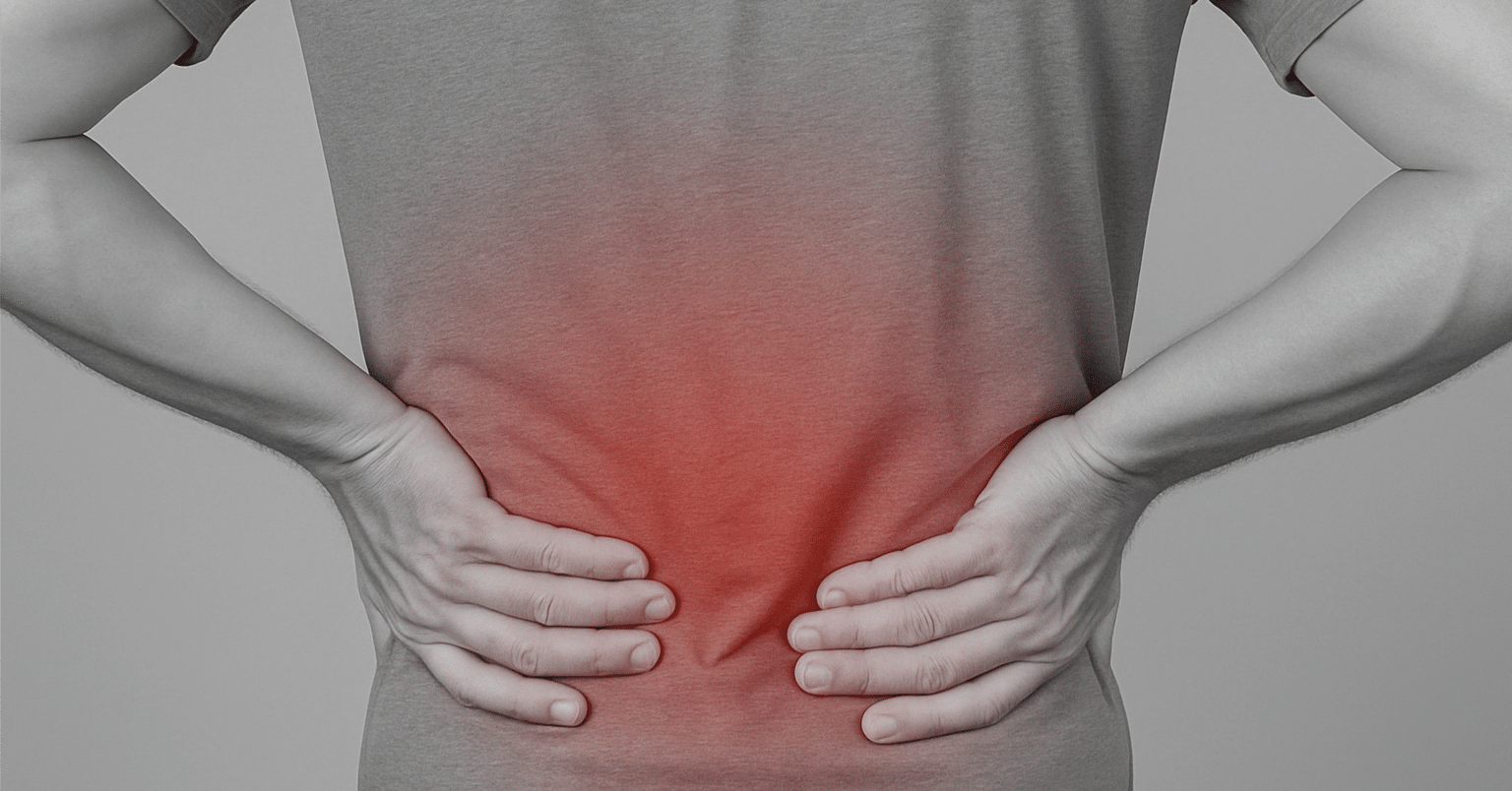 痛みの原因は硬くなった“筋肉”』 −なぜ筋肉は硬くなるのか？−｜續池