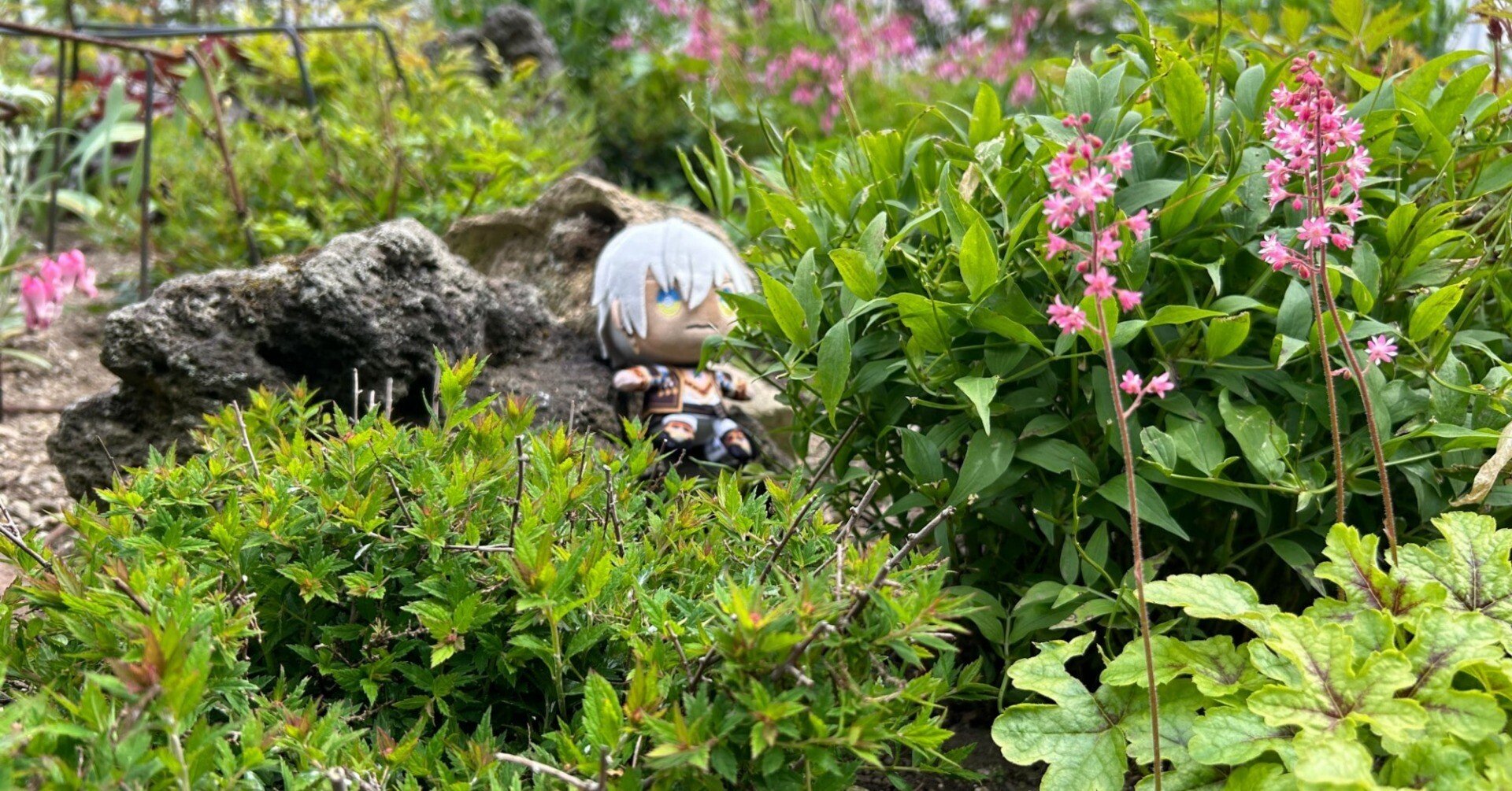 ed00da6ad3f9da720a5e5c537d1c56