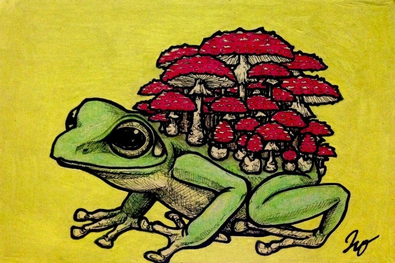 冬蛙夏草(POP version)｜引田玲雄▶︎REO HIKITA