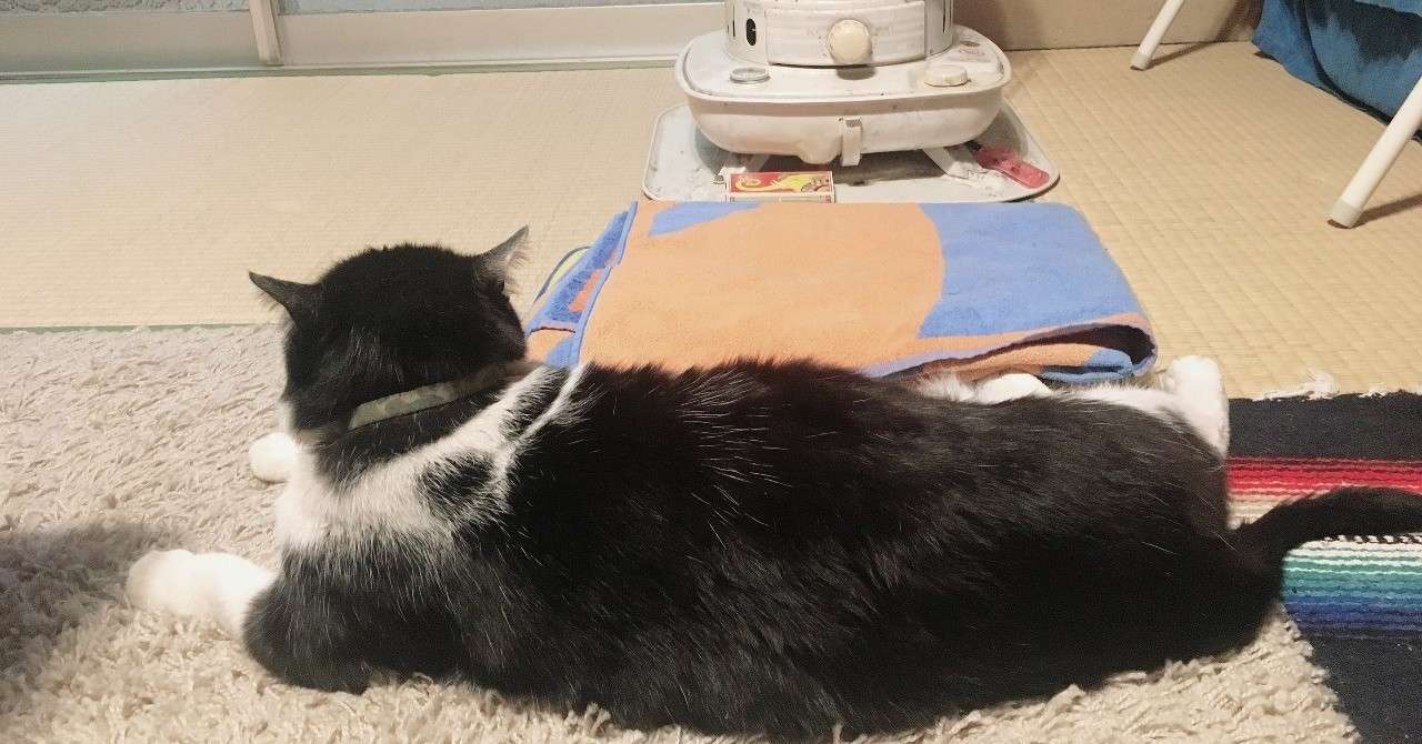 先週の今ごろは生きていたんだ 4 Last Anoneno Note