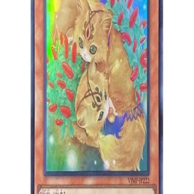 遊戯王基本情報⑤プロモカードについて〜｜ねこもり 遊戯王情報発信者