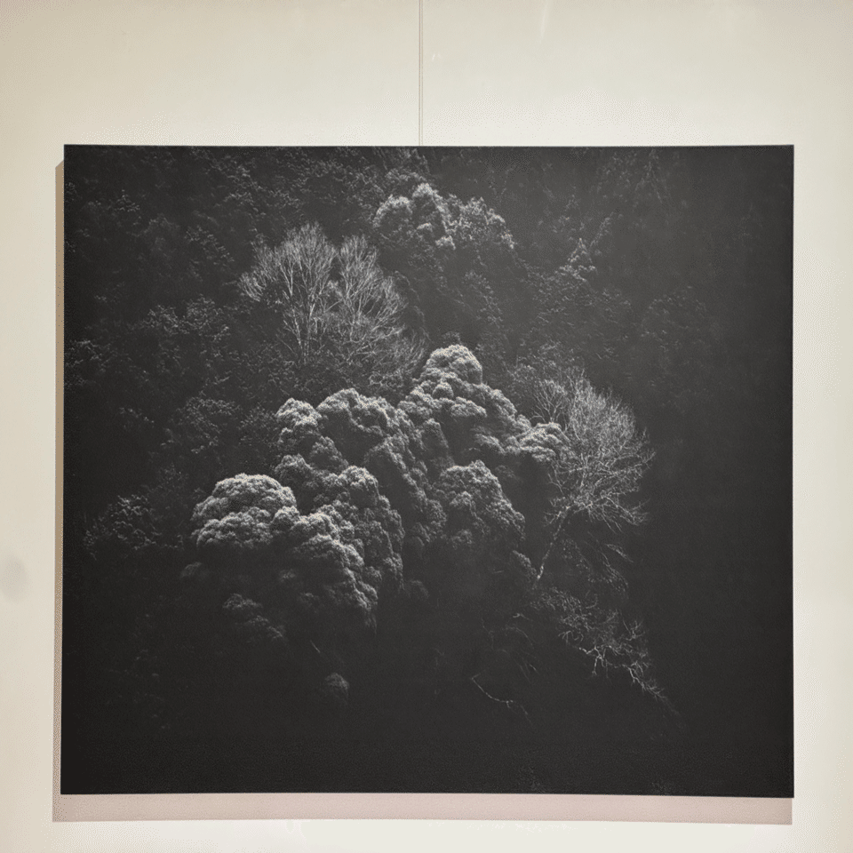 舞子の色紙深山絵落款入りです 舞子の色紙深山絵落款入りです - メルカリ