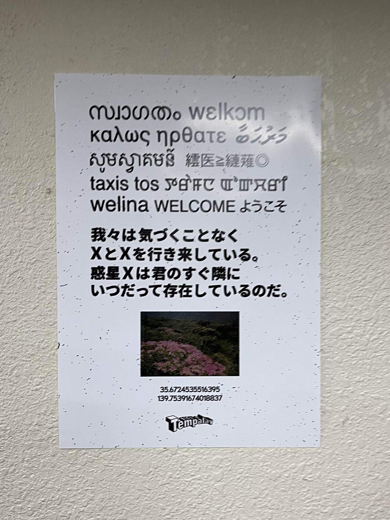 Tempalay『yyyyyyyyy』2025.04.13（日）@日比谷野外音楽堂｜ミノリロックス