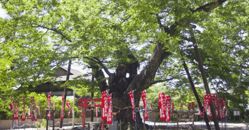 マニアックなパワースポットを紹介するよ - 今宮神社｜ブック